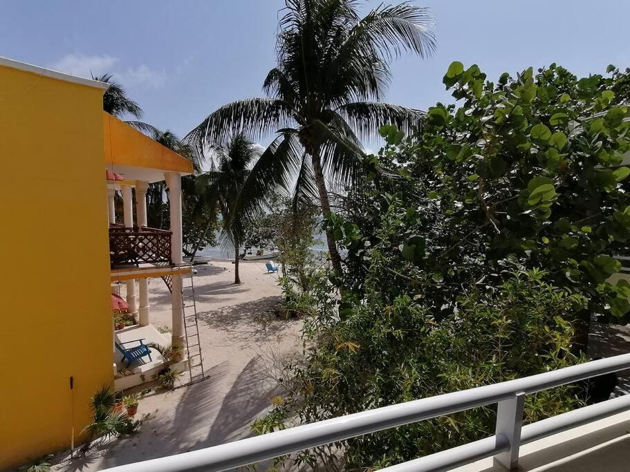 Marysol Great Views Beachfront Next To Nomads D3 Isla Mujeres Exteriér fotografie