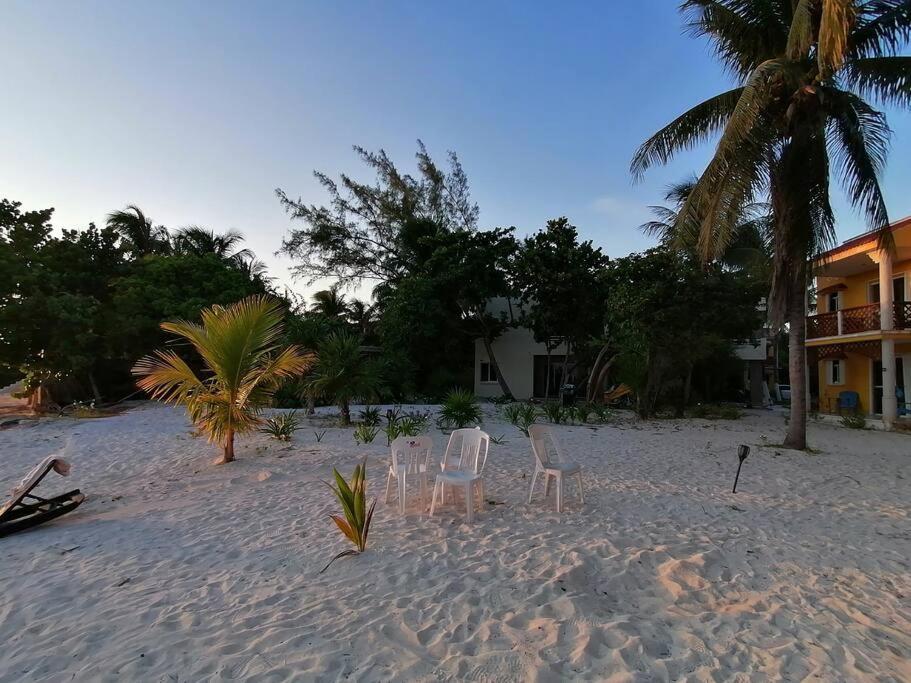 Marysol Great Views Beachfront Next To Nomads D3 Isla Mujeres Exteriér fotografie