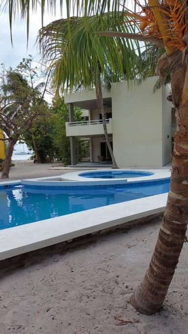 Marysol Great Views Beachfront Next To Nomads D3 Isla Mujeres Exteriér fotografie