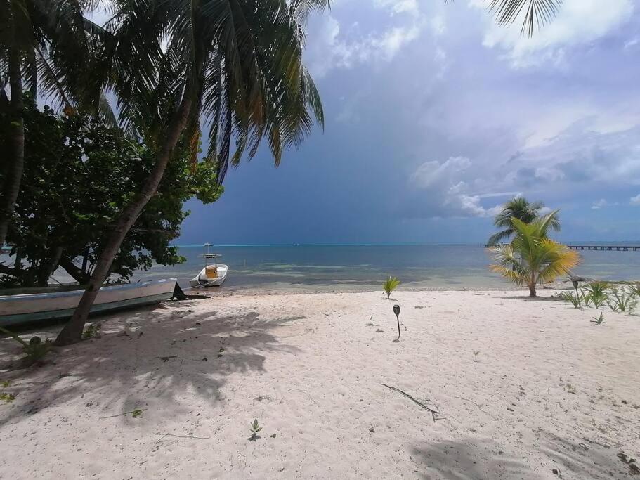 Marysol Great Views Beachfront Next To Nomads D3 Isla Mujeres Exteriér fotografie