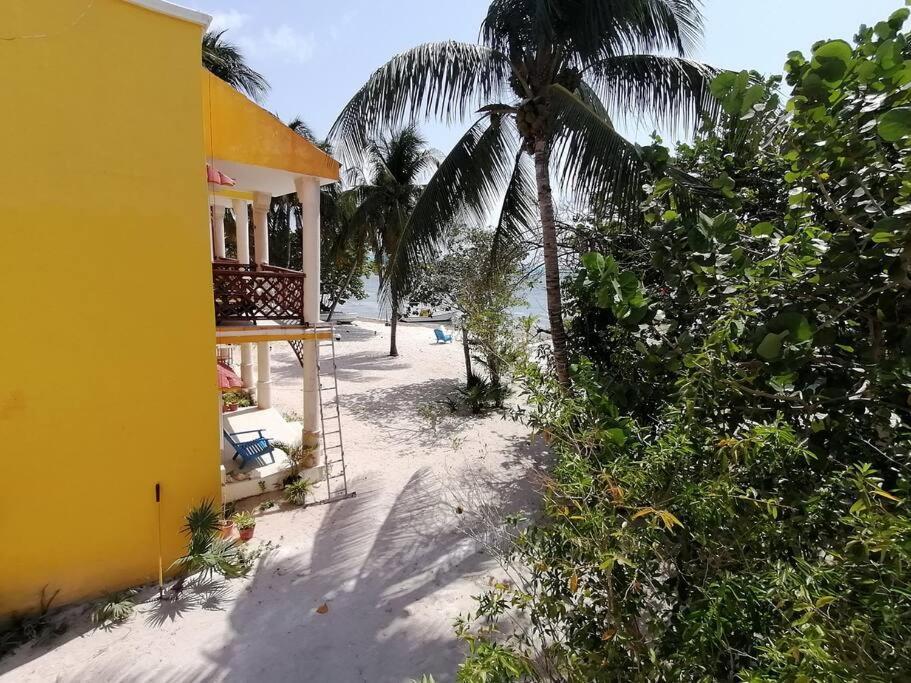 Marysol Great Views Beachfront Next To Nomads D3 Isla Mujeres Exteriér fotografie