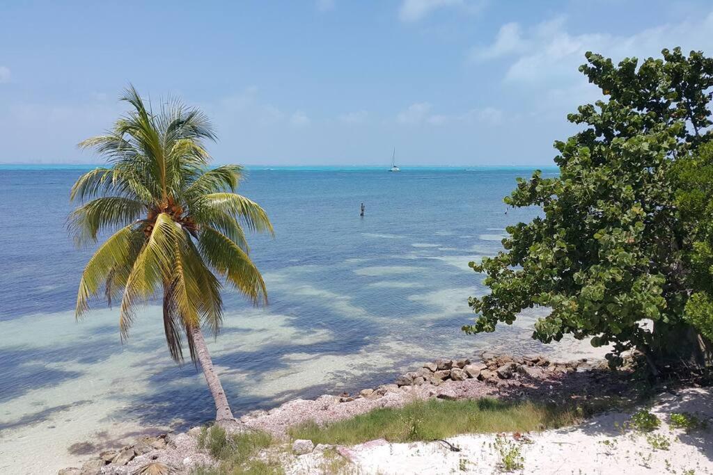Marysol Great Views Beachfront Next To Nomads D3 Isla Mujeres Exteriér fotografie